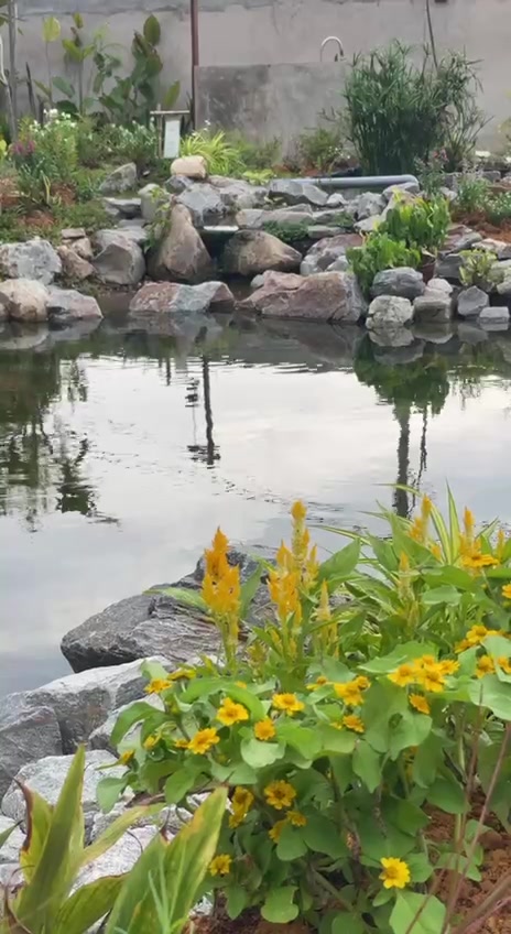 AE Natural Pool — Elma Farmstay natural pool, Klang